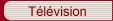 Télévision