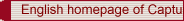 English homepage of CaptureFlux